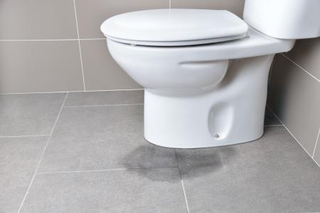 The Benefits Of Hiring Professionals For Your Next Toilet Replacement